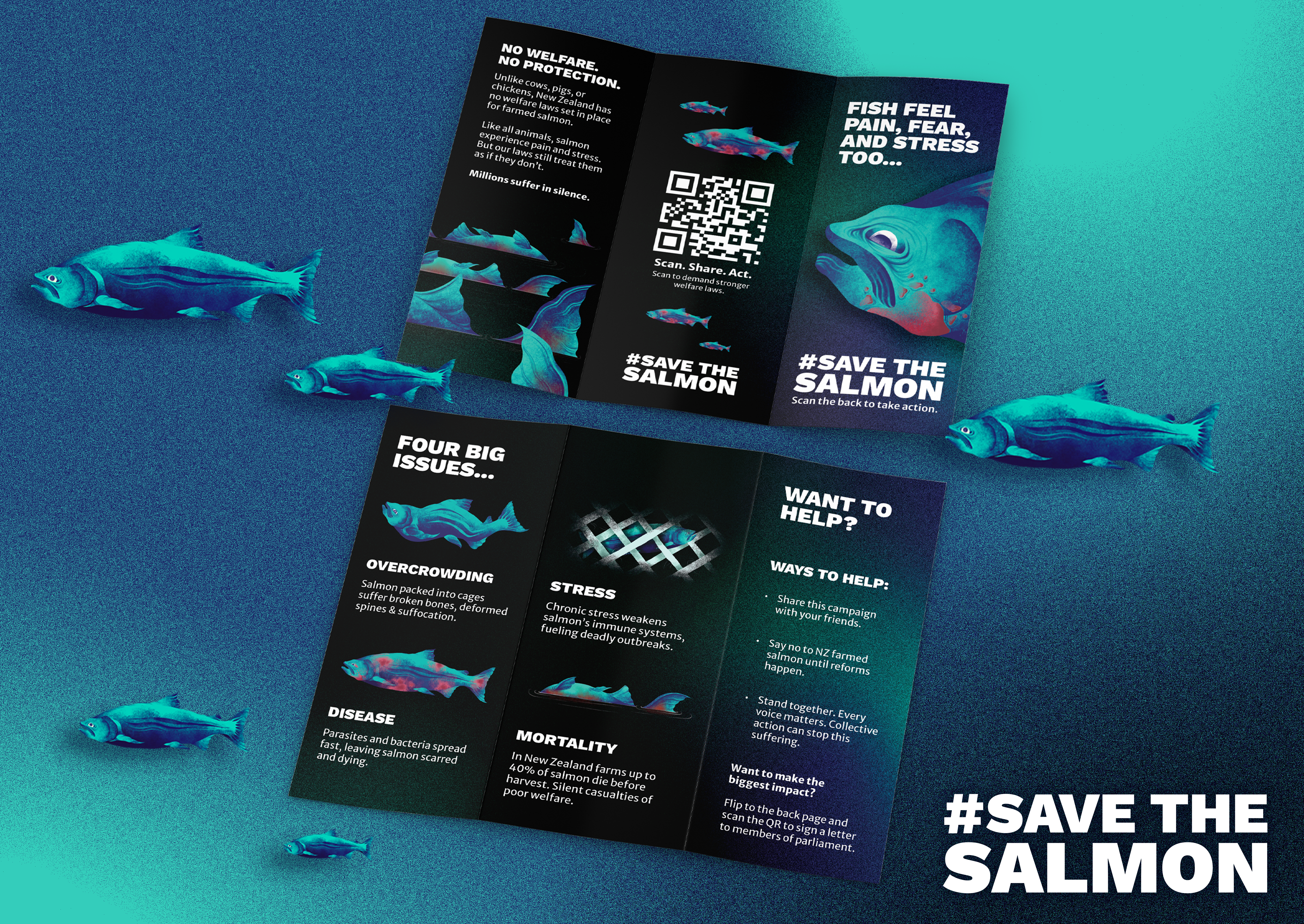 #SaveTheSalmon project imagery
